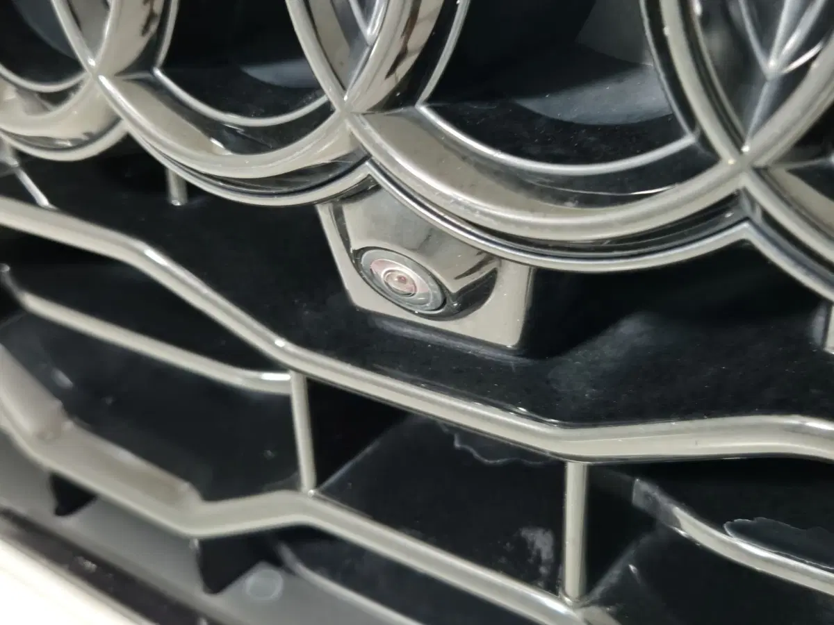 Audi RS Q8 usata a Torino (18)