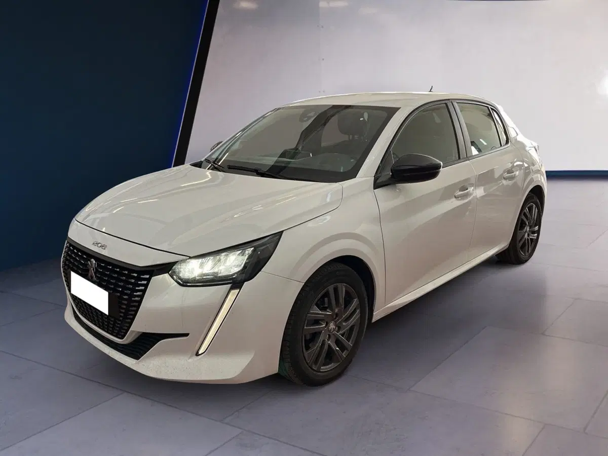 Peugeot 208 usata a Torino (2)