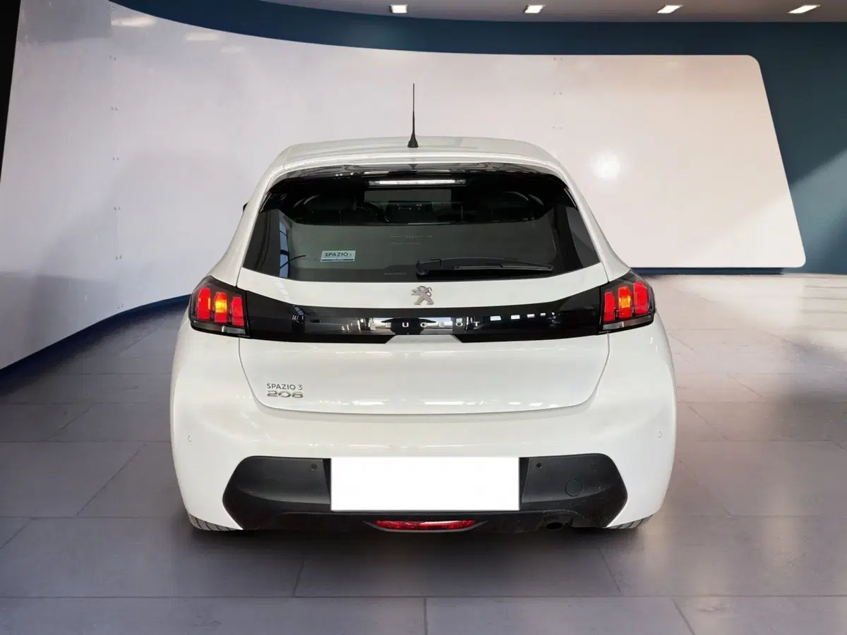 Peugeot 208 usata a Torino (5)
