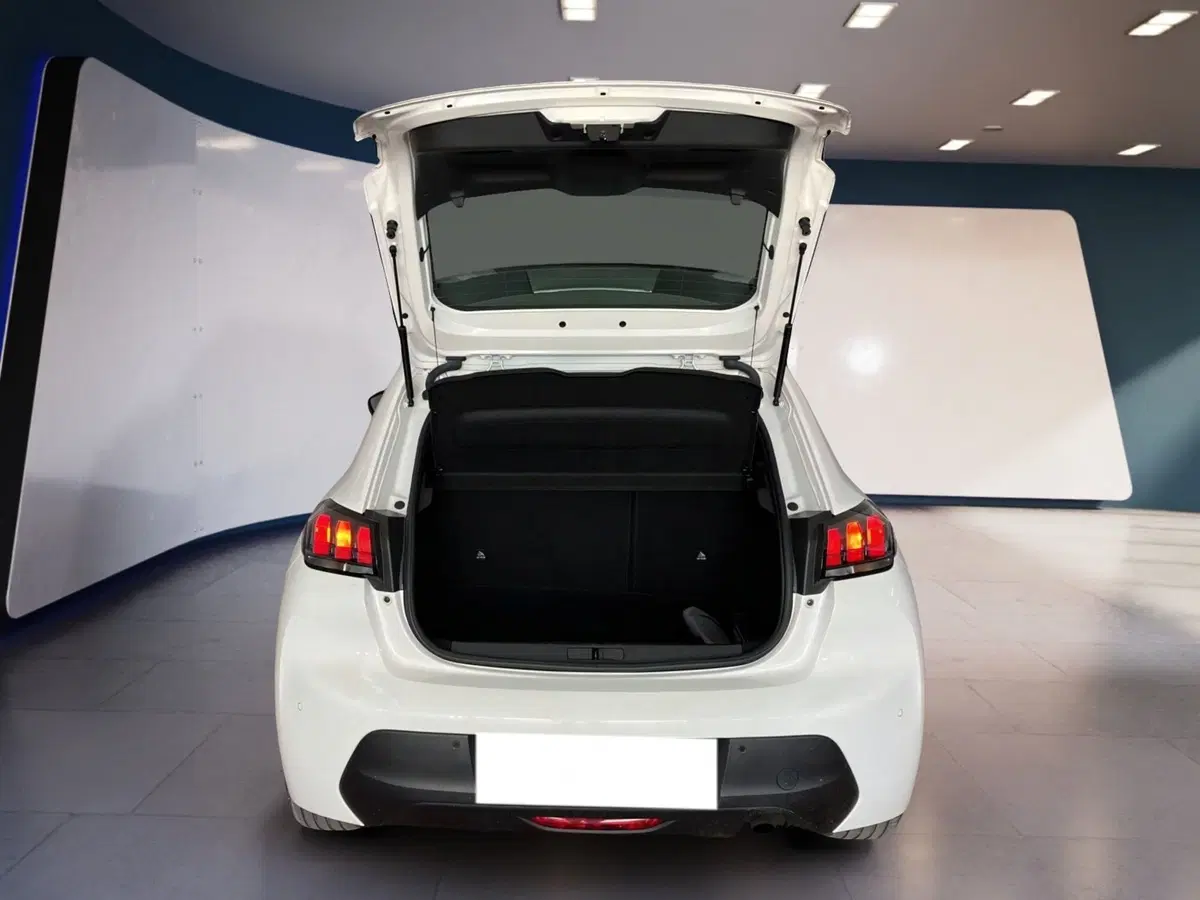 Peugeot 208 usata a Torino (7)
