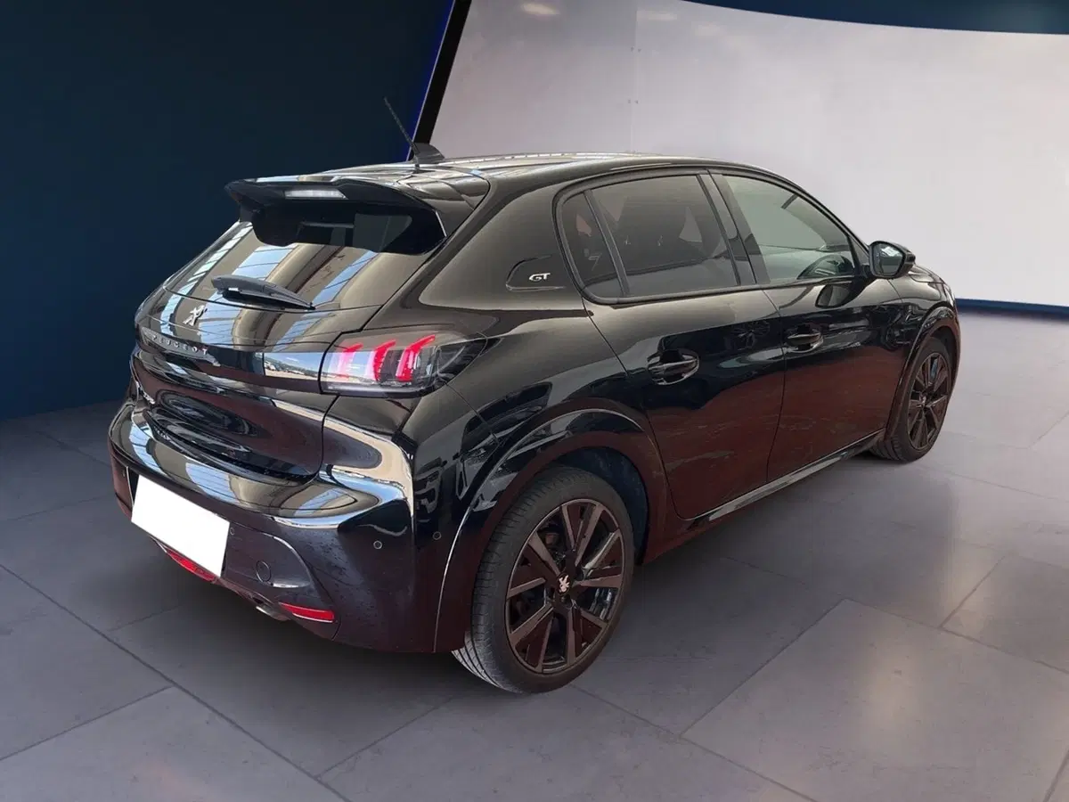 Peugeot 208 usata a Torino (6)