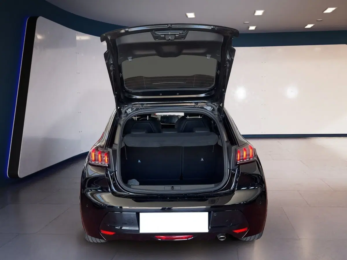 Peugeot 208 usata a Torino (8)