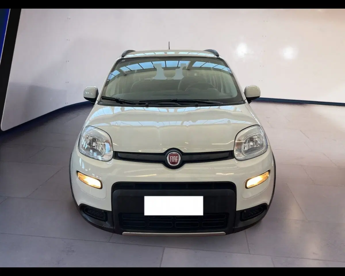 Fiat Panda usata a Torino