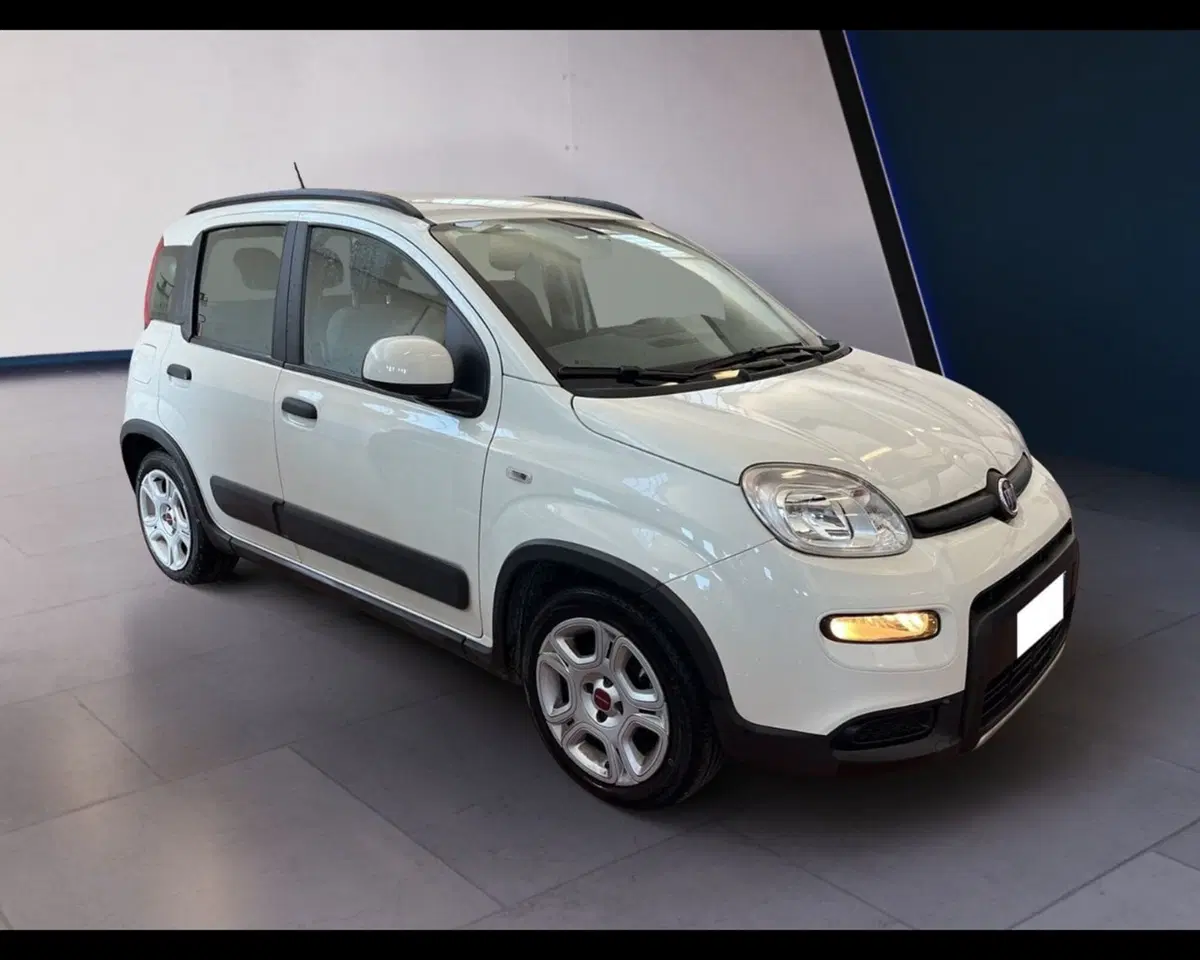 Fiat Panda usata a Torino (7)