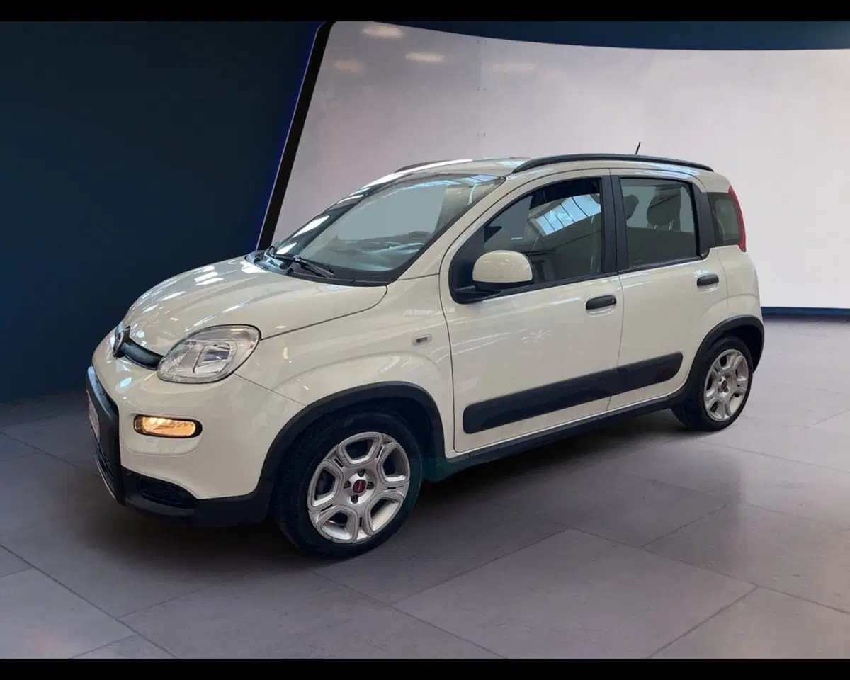 Fiat Panda usata a Torino (8)