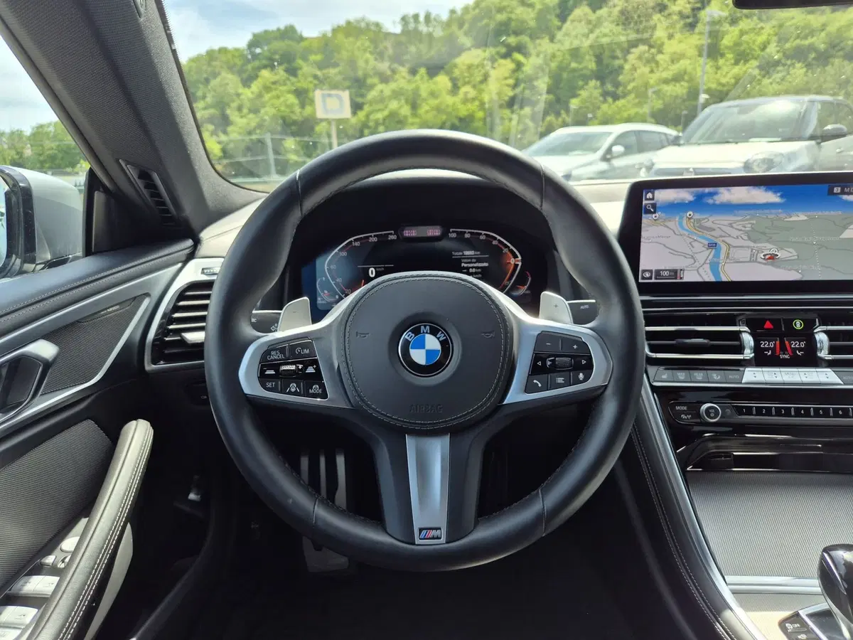 BMW Serie 8 Gran Coupé usata  (19)
