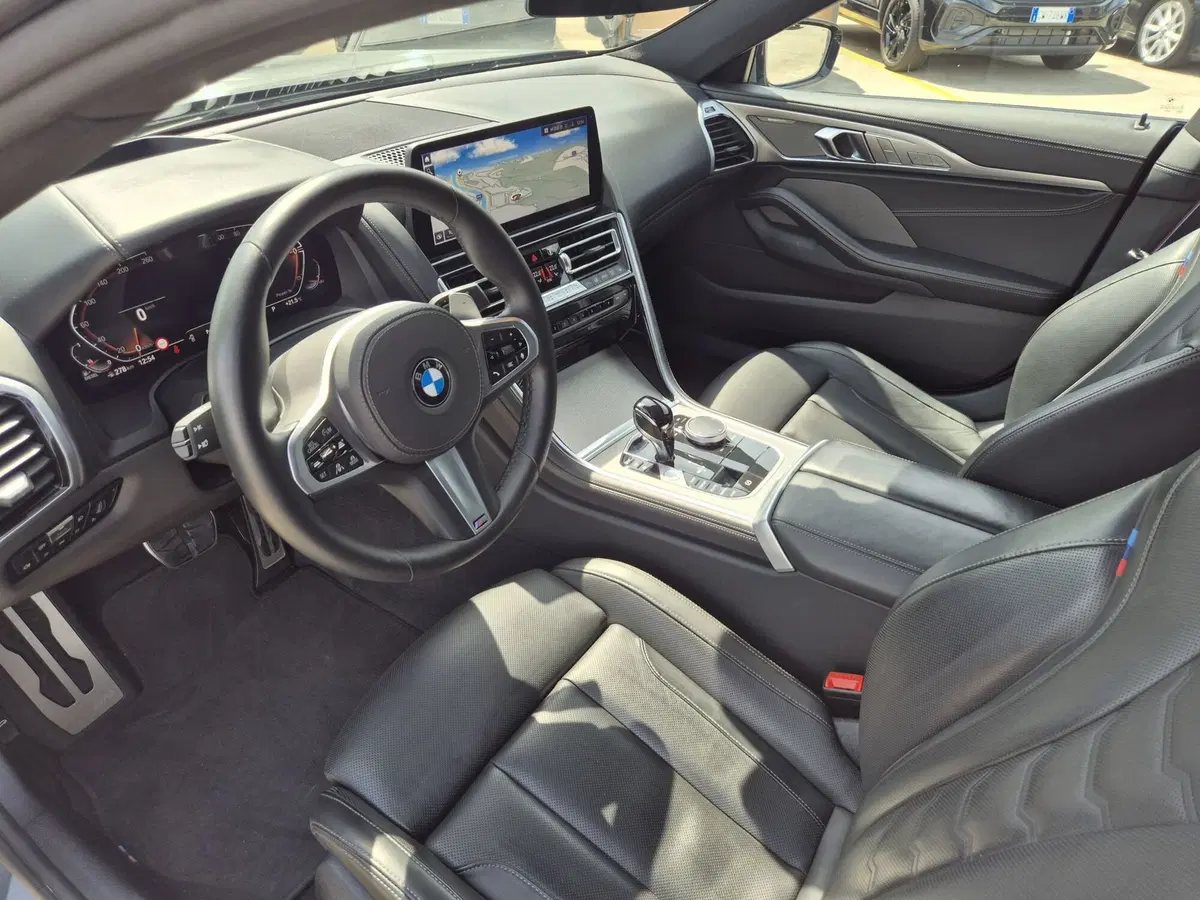 BMW Serie 8 Gran Coupé usata  (6)