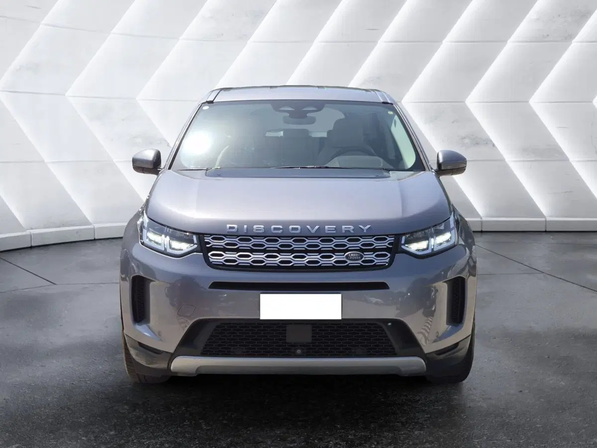 Land Rover Discovery Sport usata  (2)