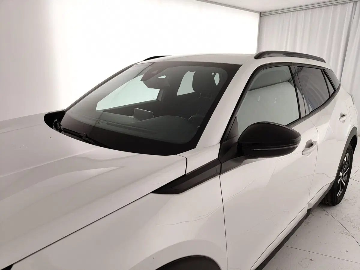 Peugeot 2008 usata a Caserta (14)