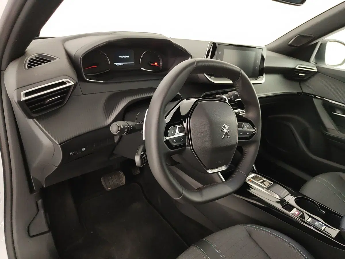 Peugeot 2008 usata a Caserta (19)