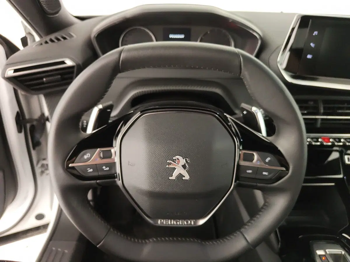 Peugeot 2008 usata a Caserta (20)