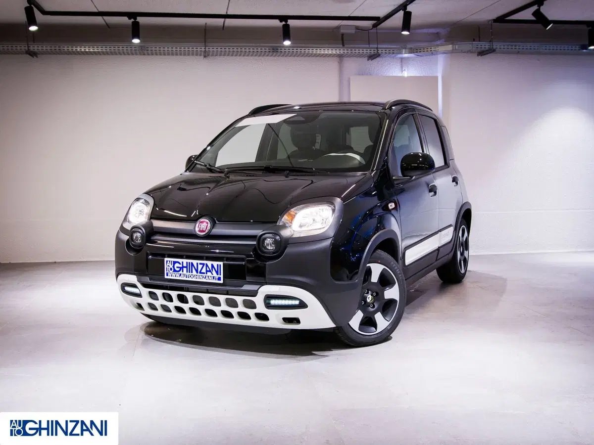Fiat Pandina nuova a Bergamo (2)
