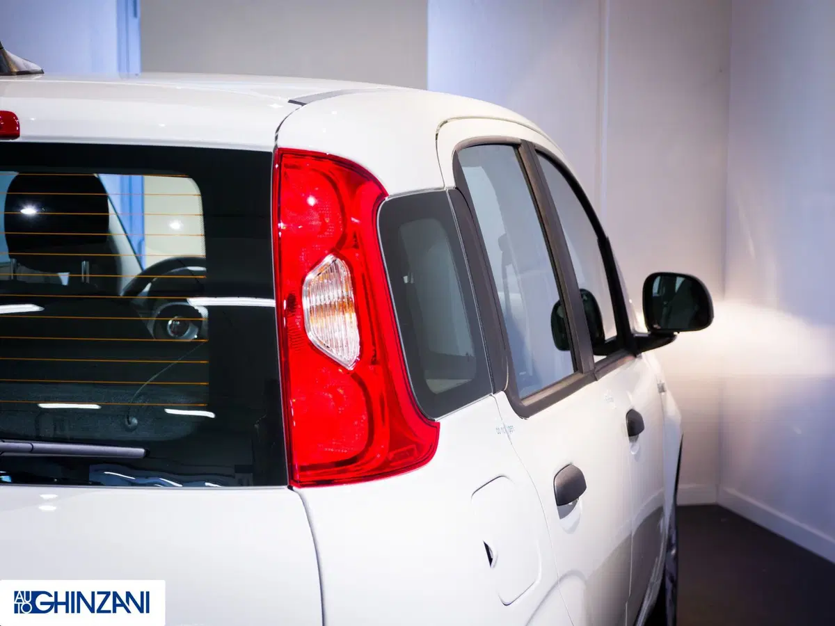 Fiat Panda Cross nuova a Bergamo (18)