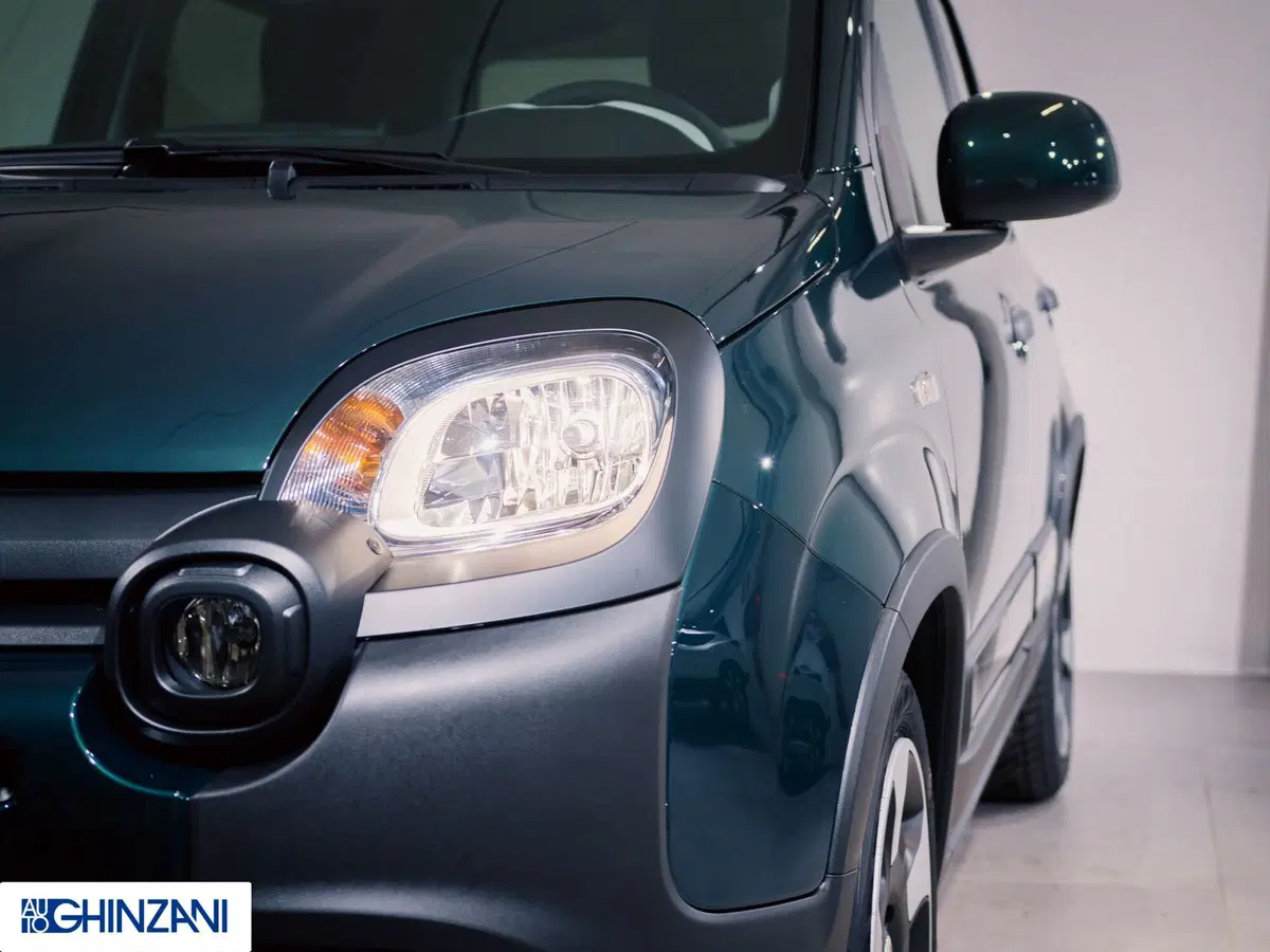 Fiat Pandina nuova a Bergamo (16)