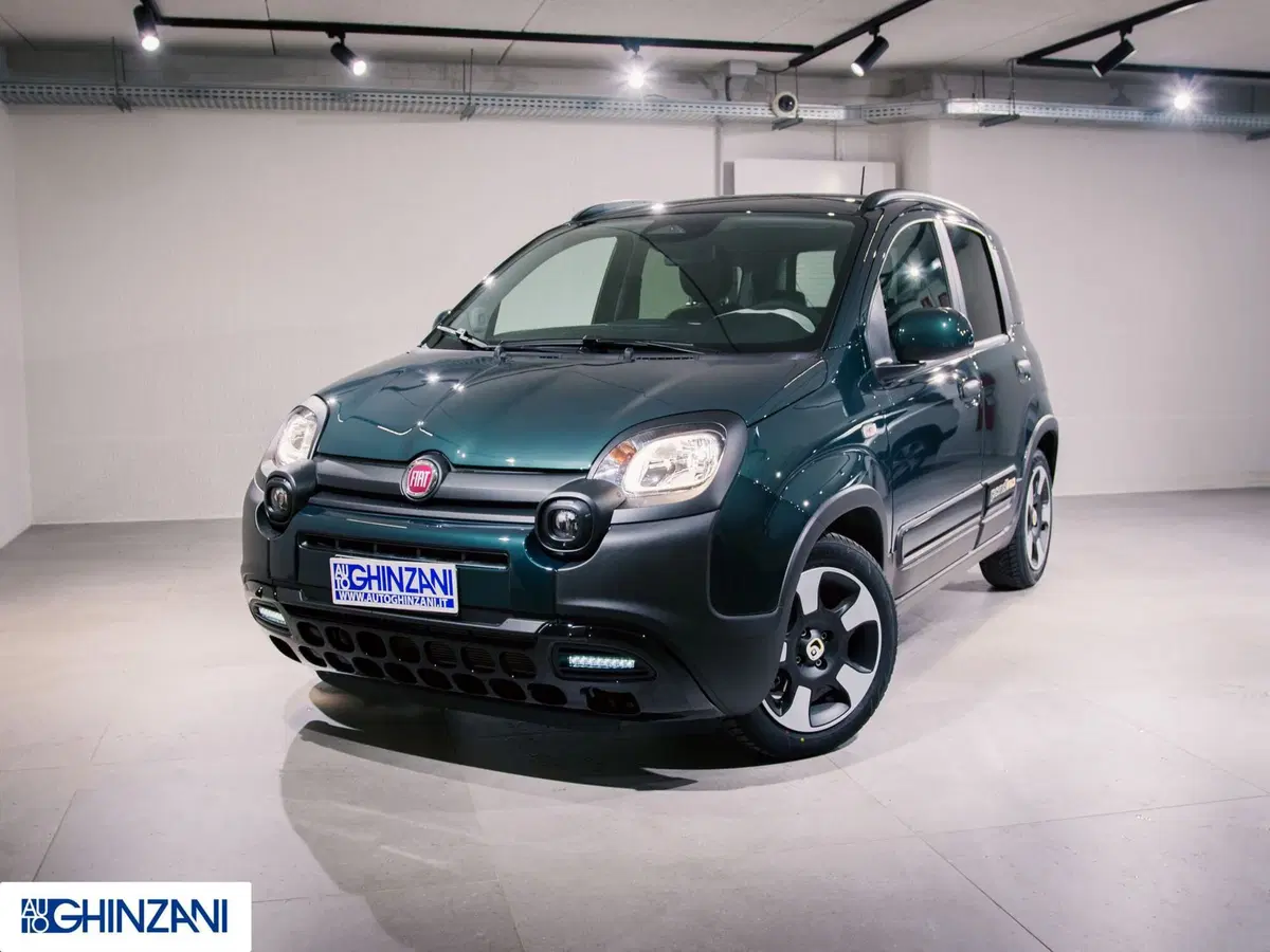Fiat Pandina nuova a Bergamo (2)