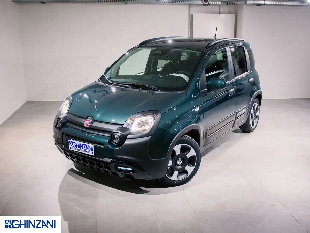 Fiat Pandina nuova a Bergamo (3)