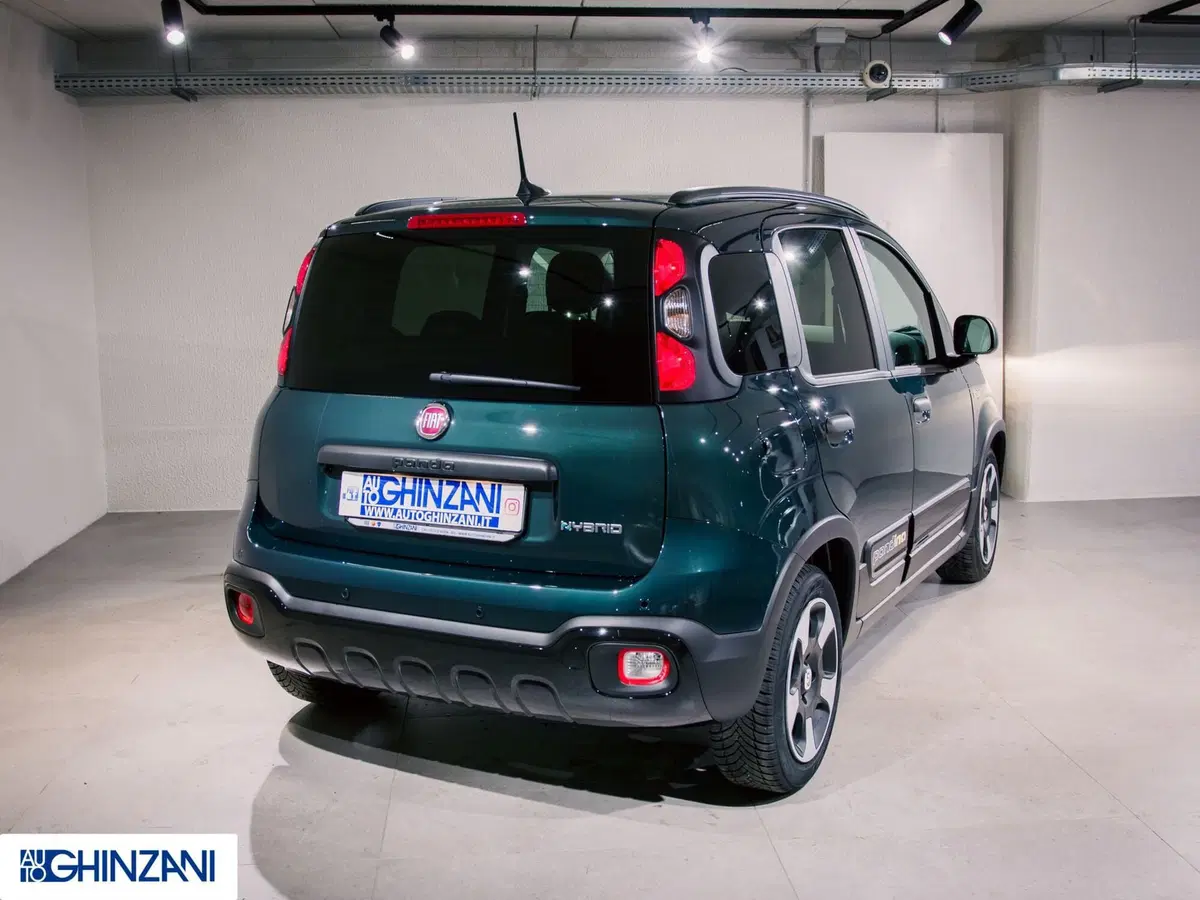 Fiat Pandina nuova a Bergamo (6)