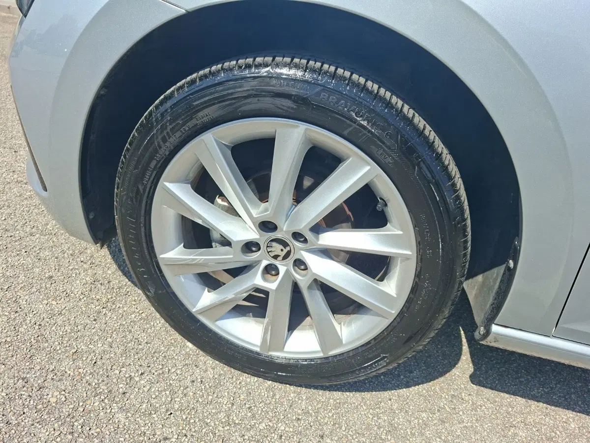 Skoda Scala usata a Ancona (11)