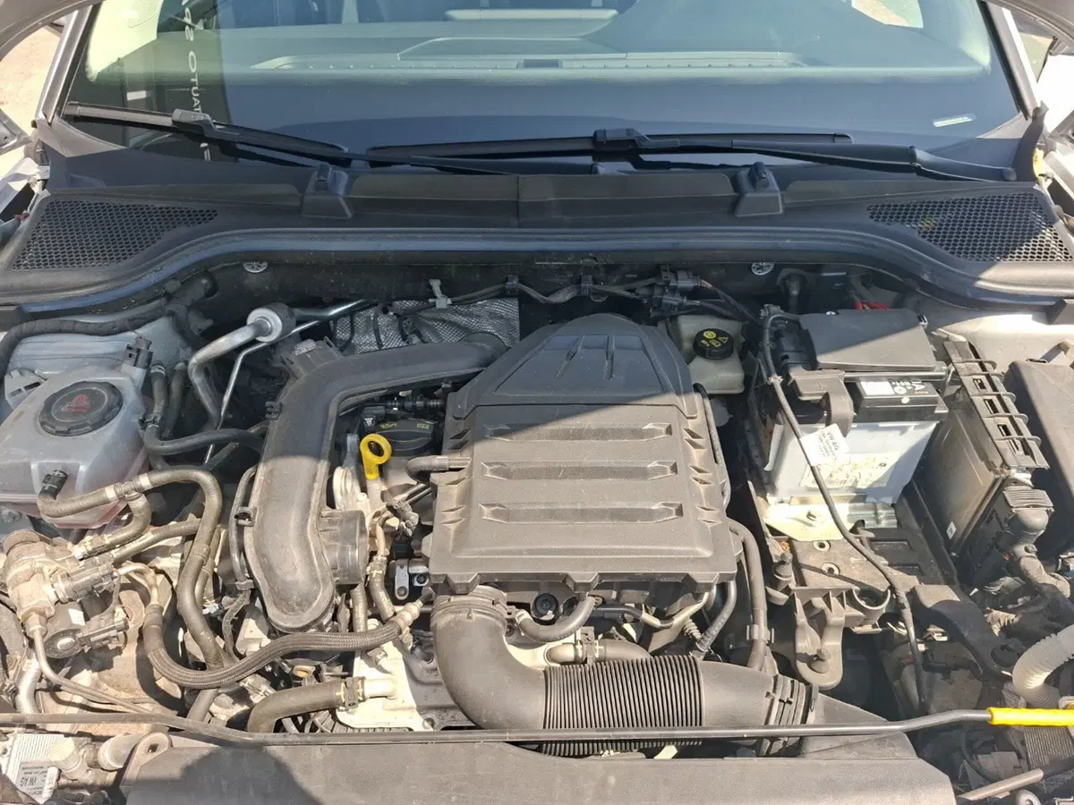 Skoda Scala usata a Ancona (14)