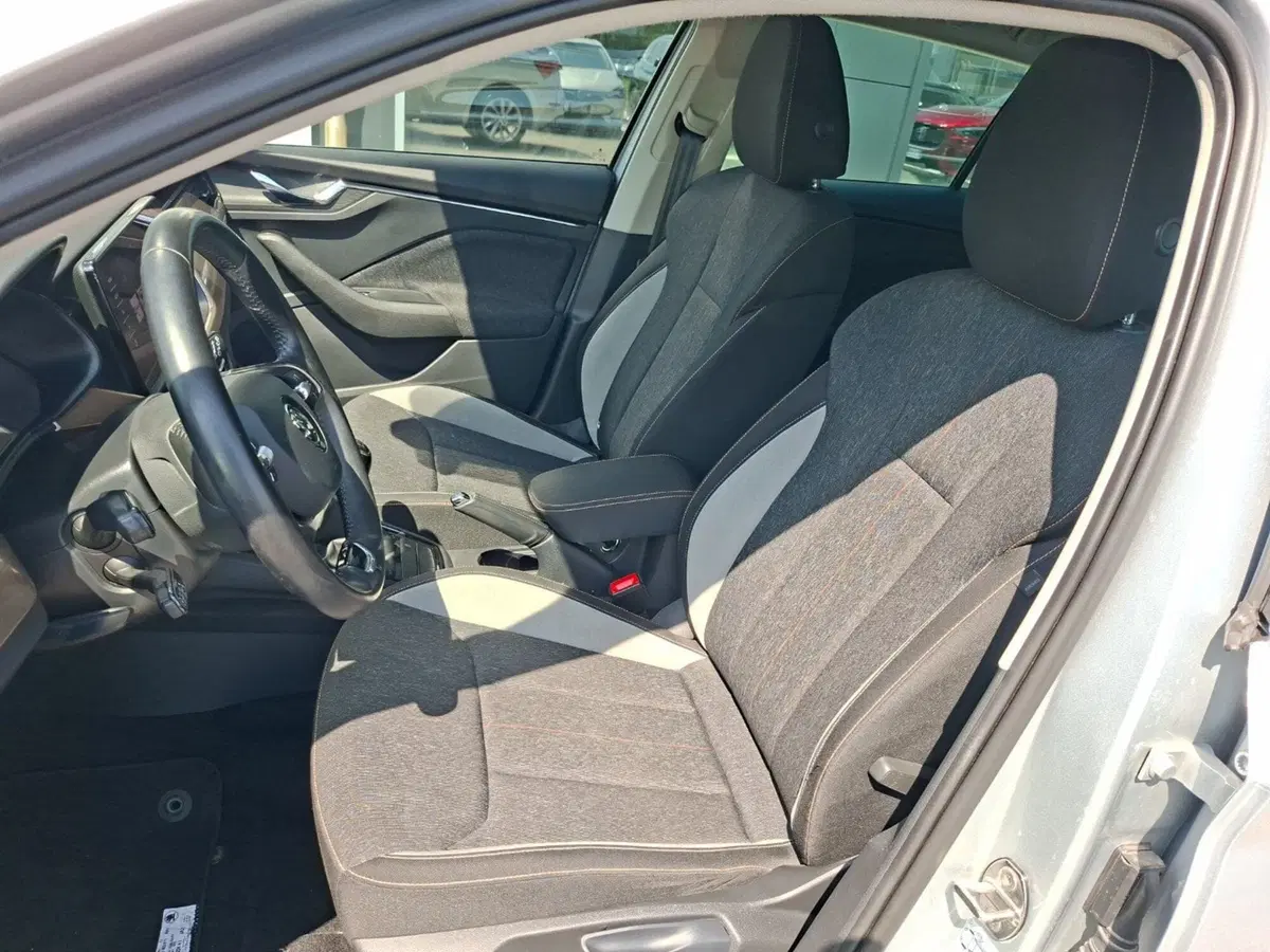 Skoda Scala usata a Ancona (15)