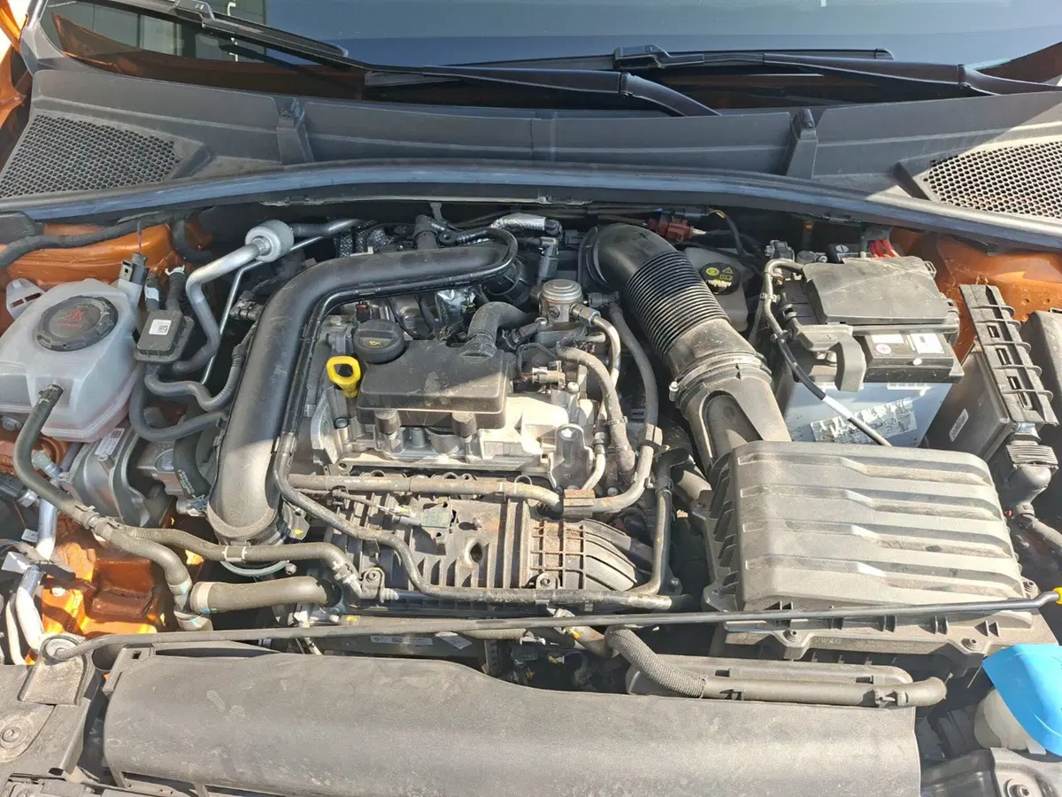 Skoda Fabia usata a Ancona (15)