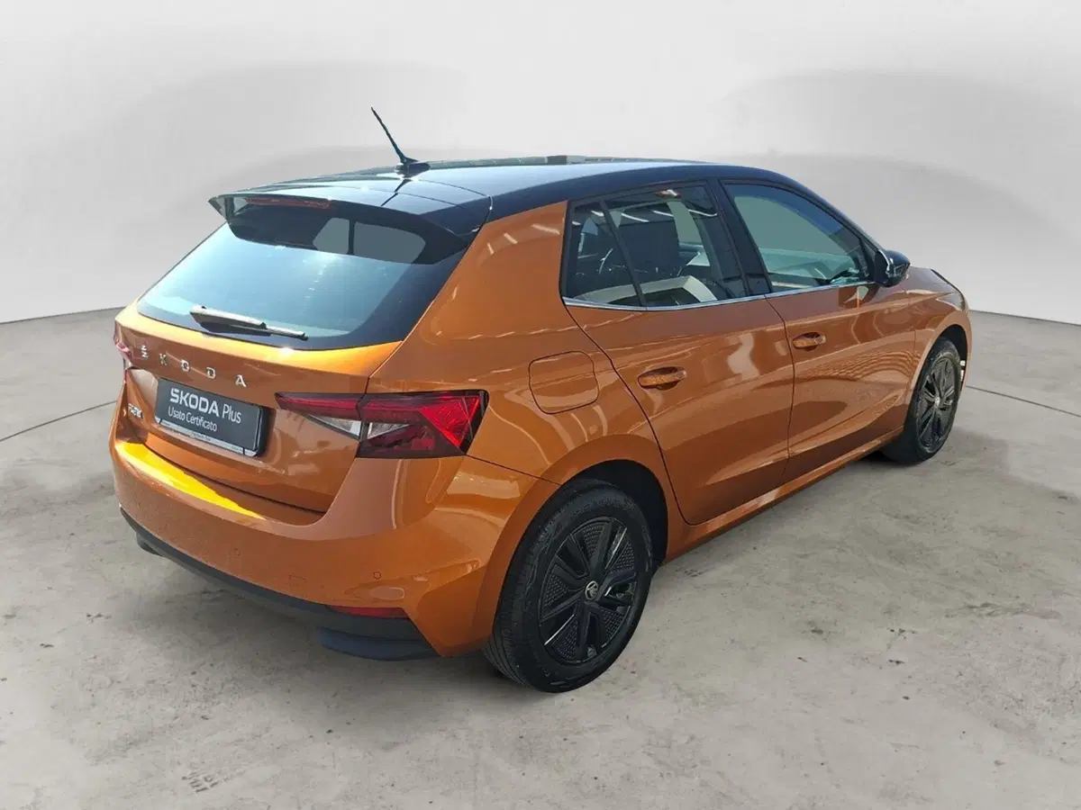 Skoda Fabia usata a Ancona (5)