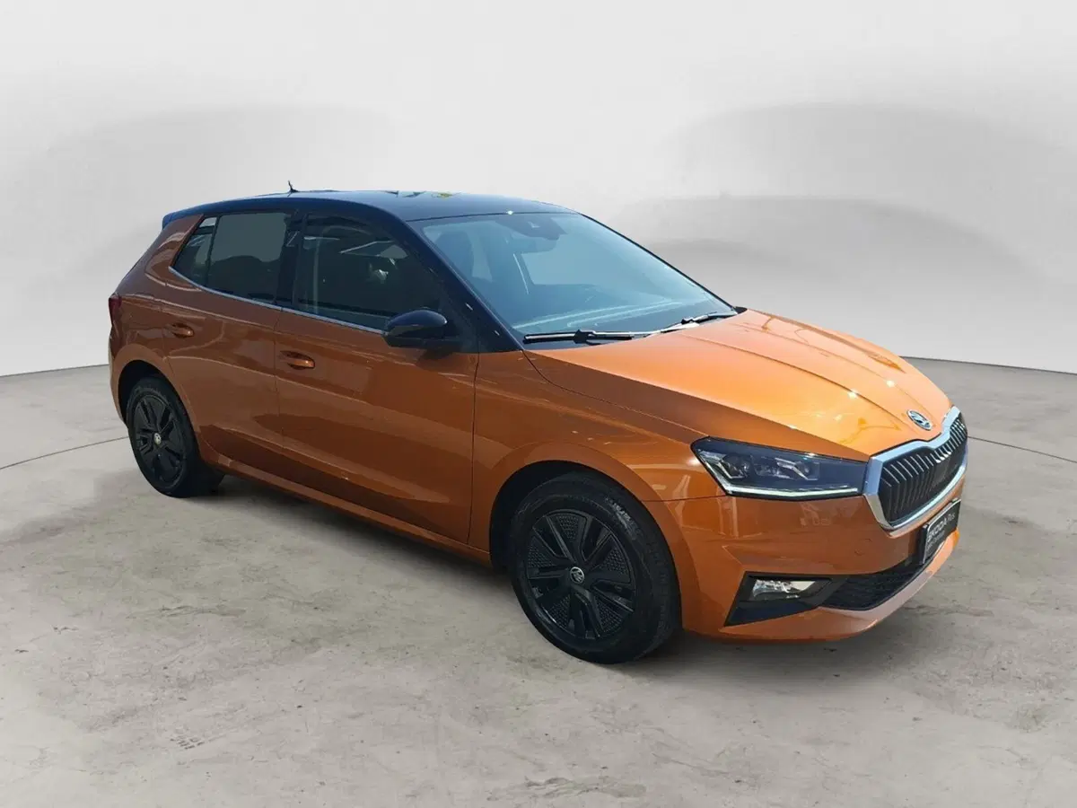 Skoda Fabia usata a Ancona (7)