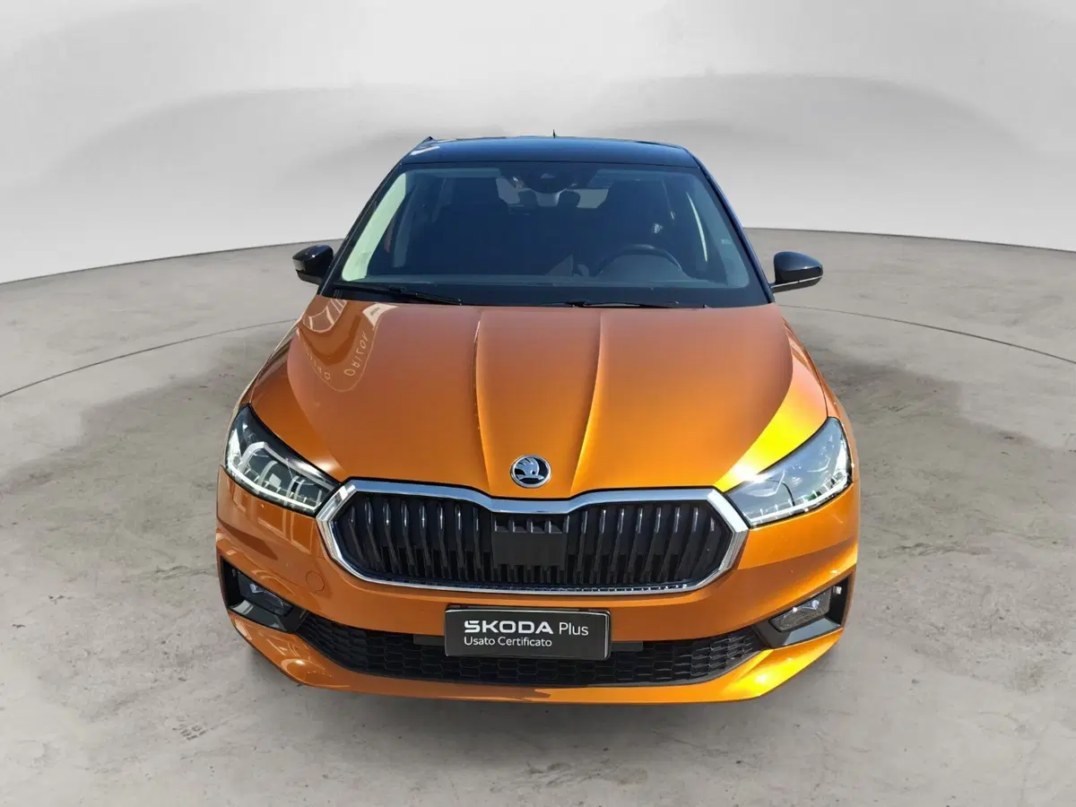 Skoda Fabia usata a Ancona (8)