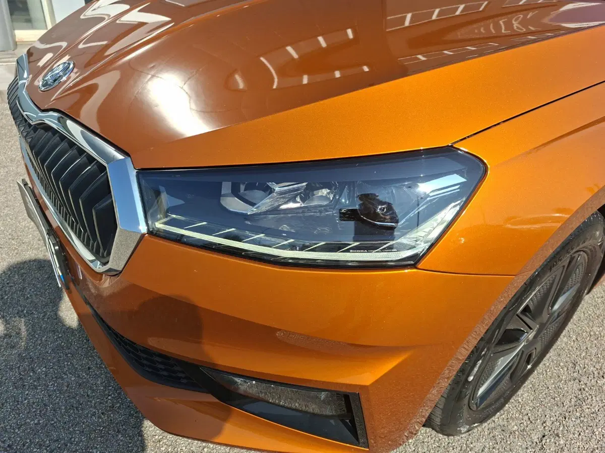 Skoda Fabia usata a Ancona (9)