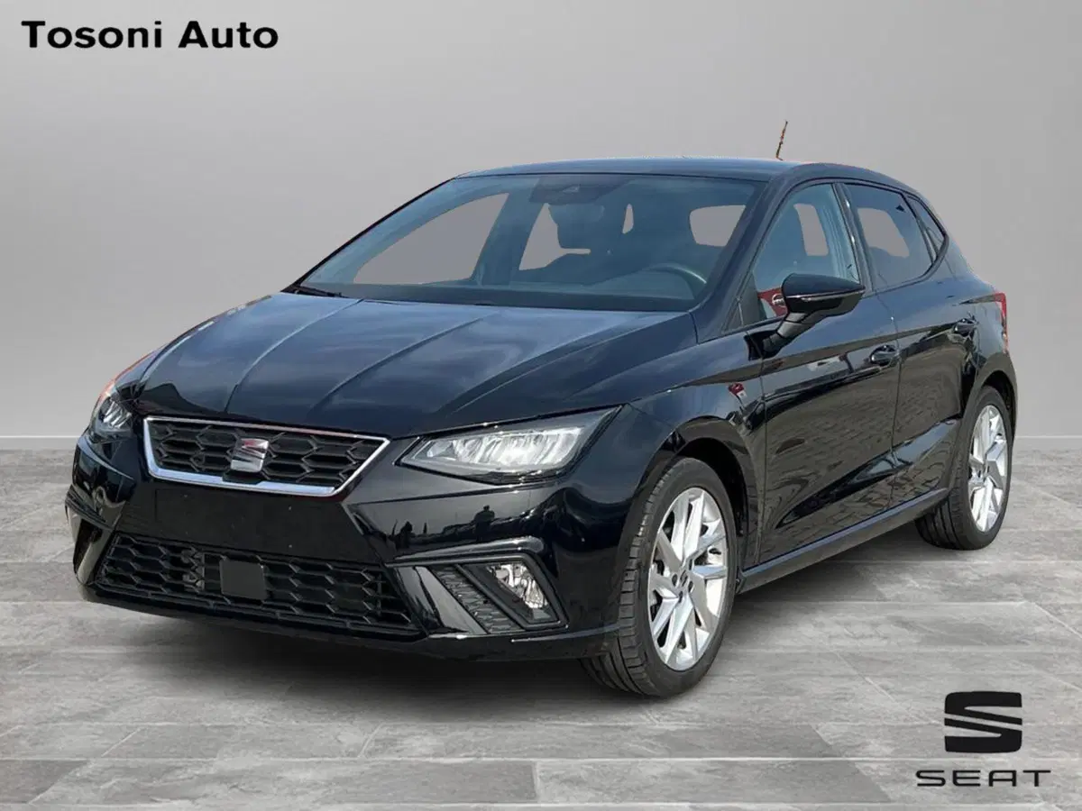 SEAT Ibiza usata a Siena