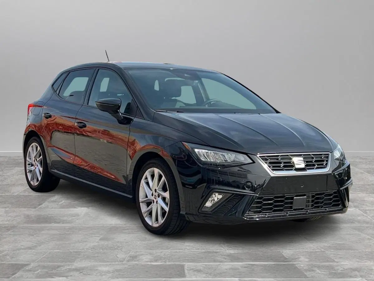 SEAT Ibiza usata a Siena (2)