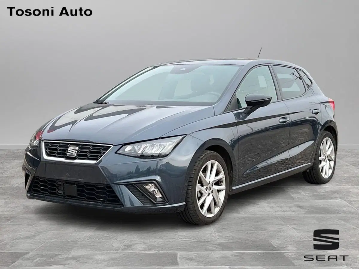 SEAT Ibiza usata a Arezzo