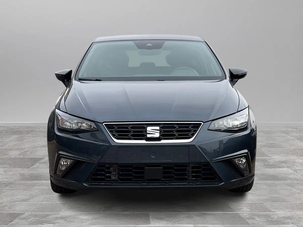 SEAT Ibiza usata a Arezzo (3)