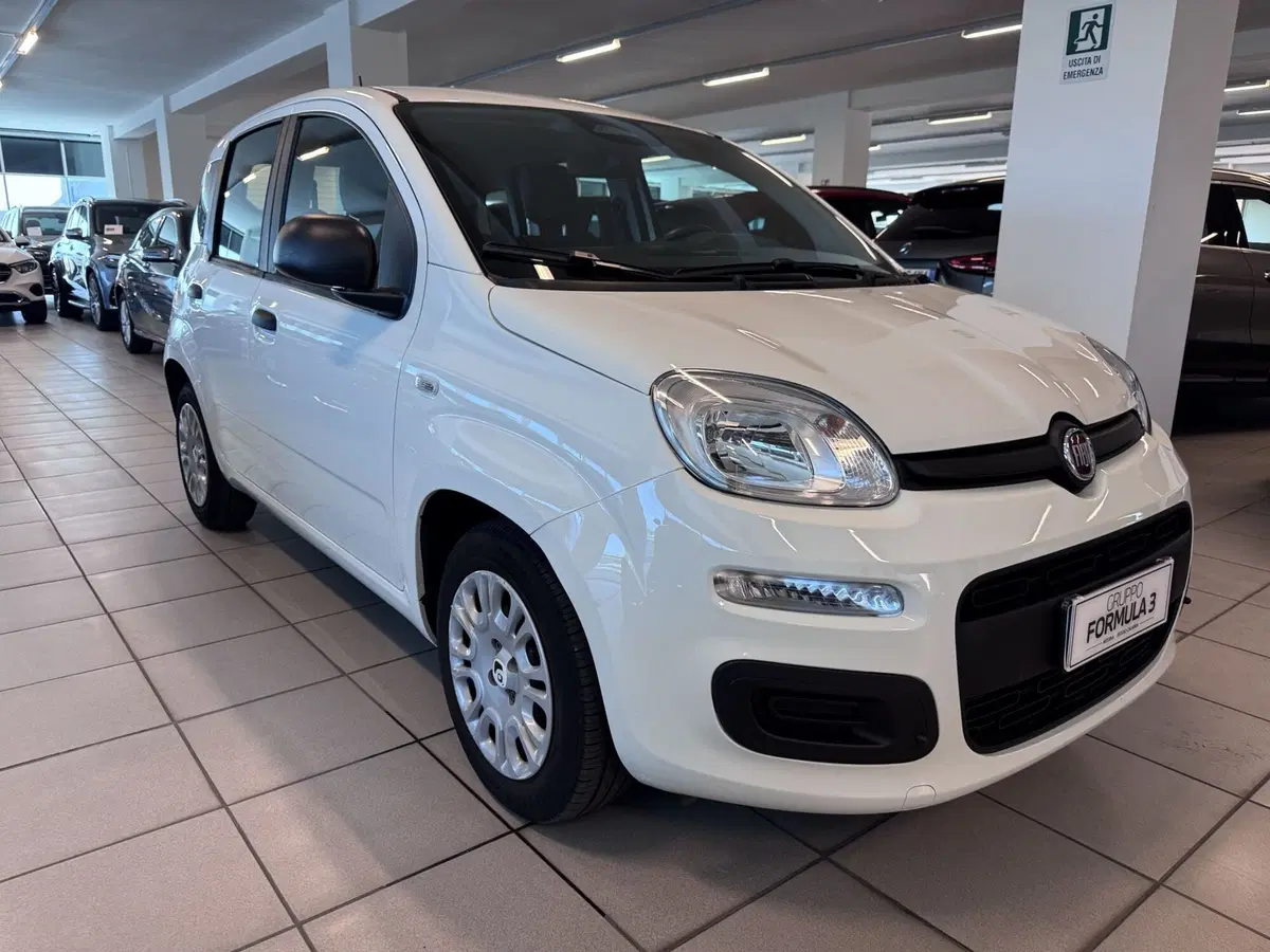 Fiat Panda Cross usata a Messina (2)