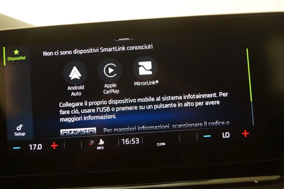 Skoda Octavia Station Wagon usata a Torino (19)