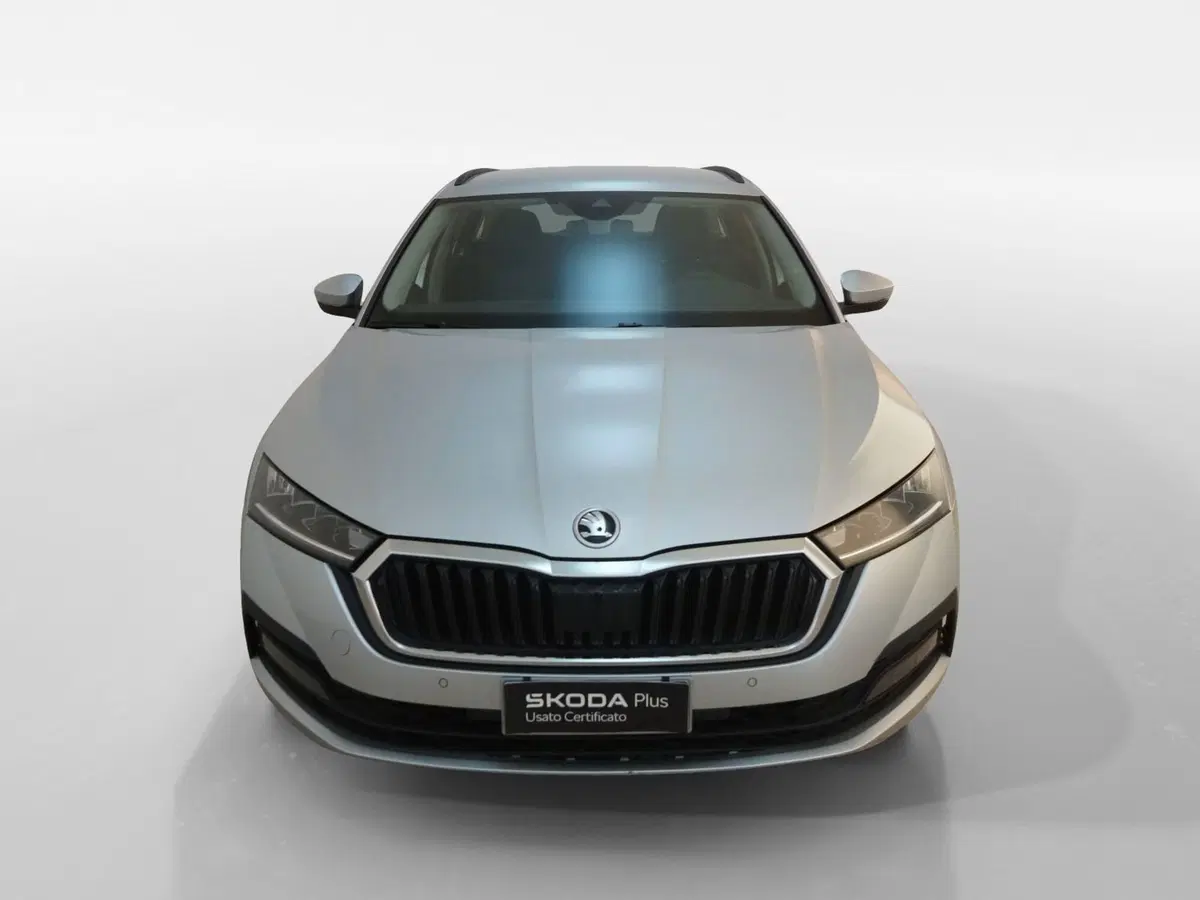 Skoda Octavia Station Wagon usata a Torino (2)