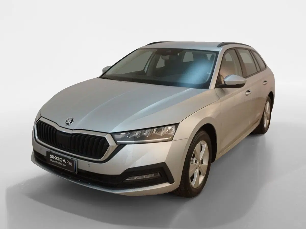 Skoda Octavia Station Wagon usata a Torino (3)