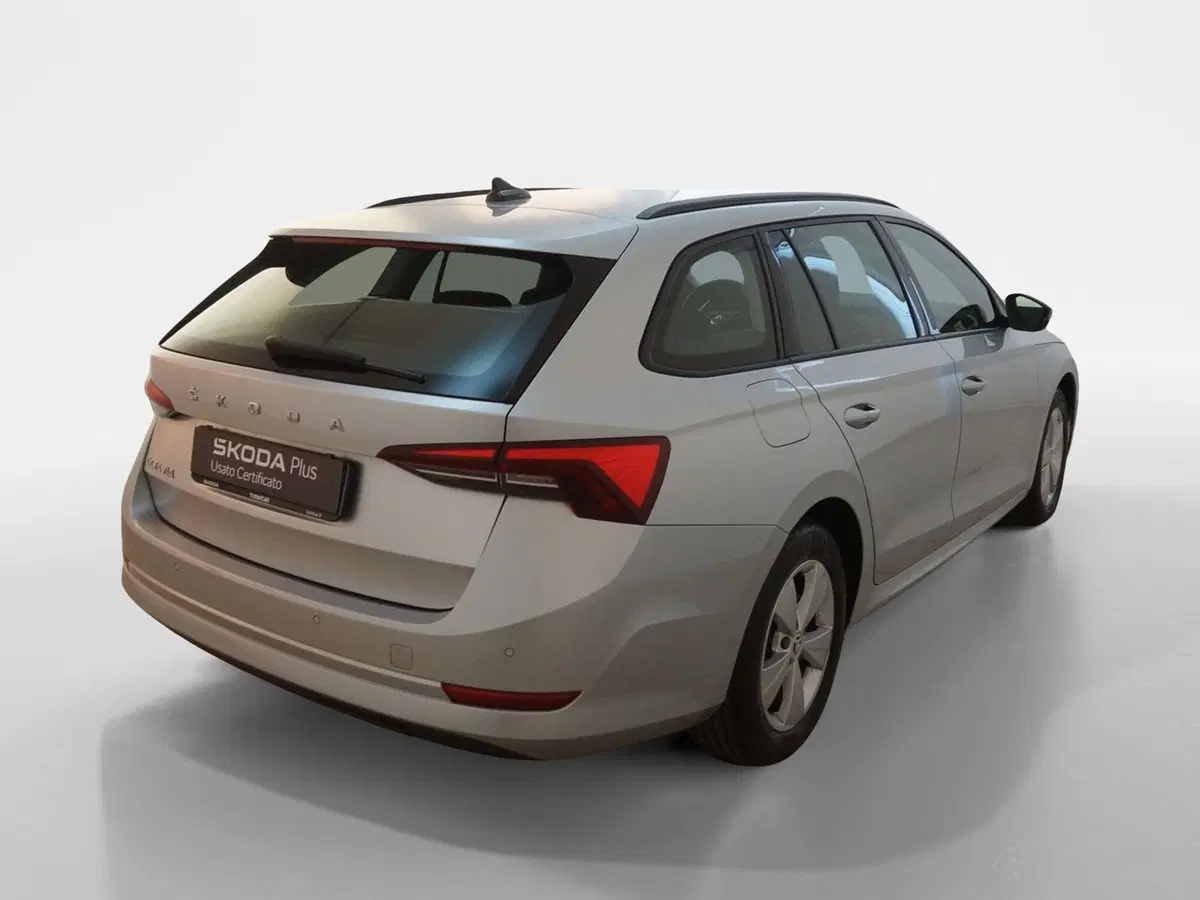 Skoda Octavia Station Wagon usata a Torino (6)