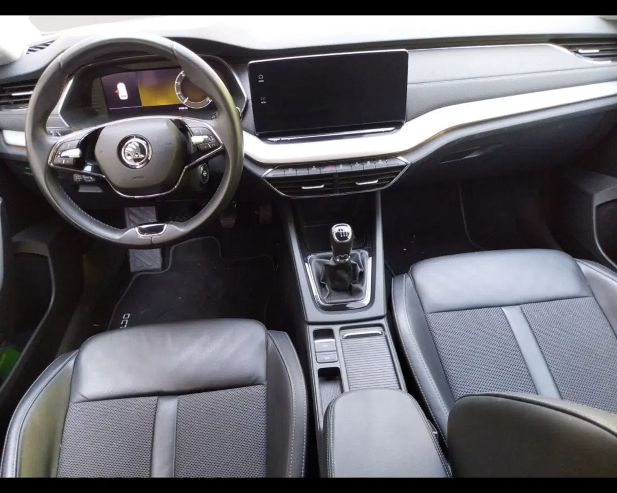 Skoda Octavia Station Wagon usata a Forlì-Cesena (10)