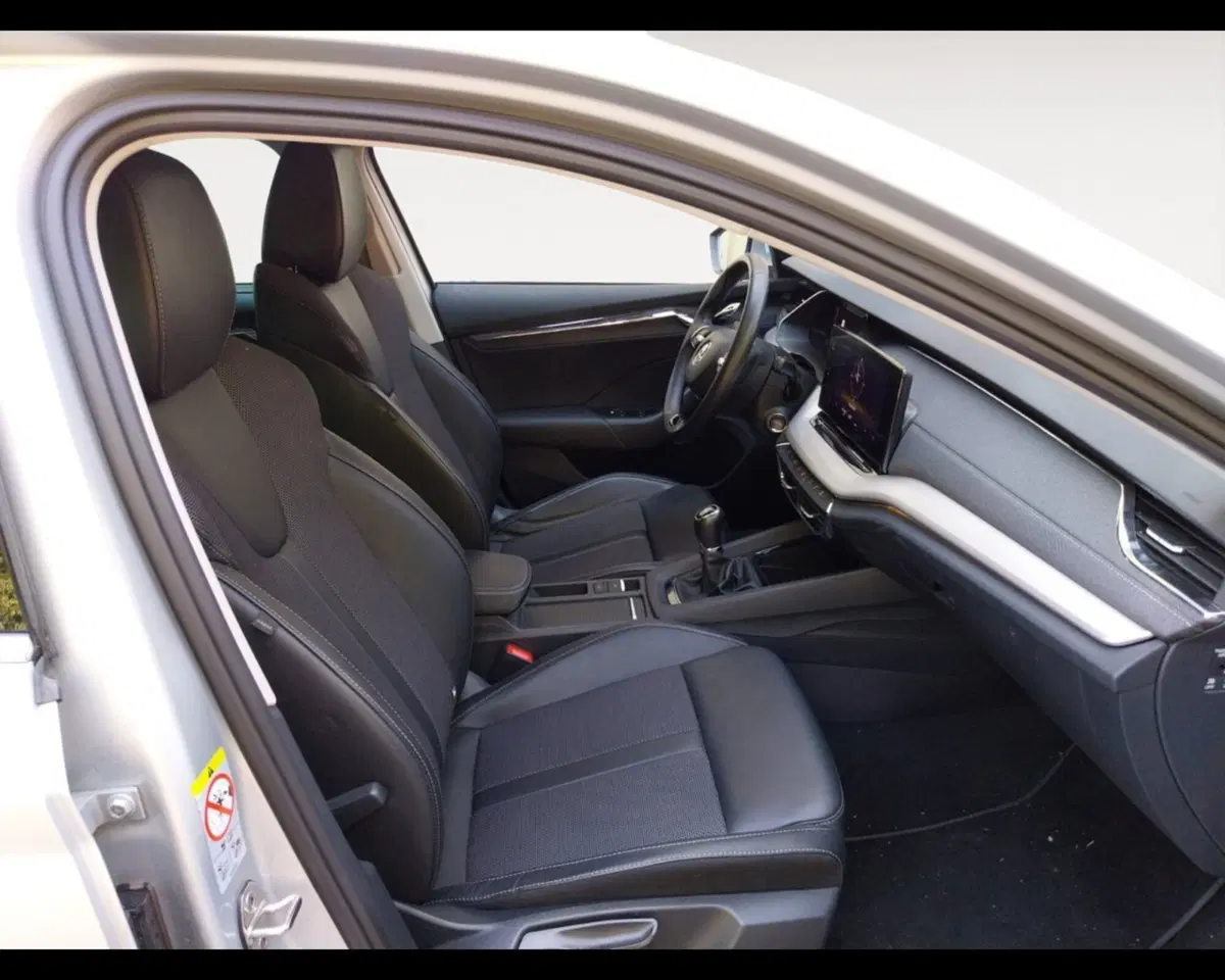 Skoda Octavia Station Wagon usata a Forlì-Cesena (15)