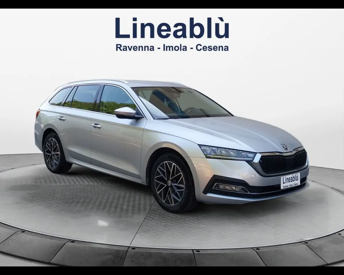 Skoda Octavia Station Wagon usata a Forlì-Cesena (7)
