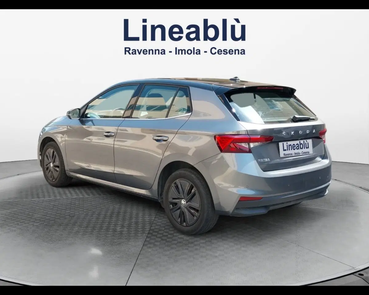 Skoda Fabia usata a Forlì-Cesena (3)