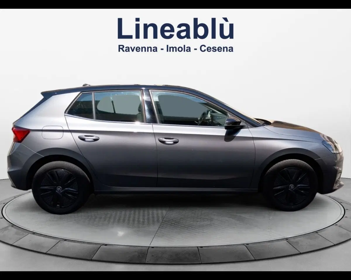 Skoda Fabia usata a Forlì-Cesena (6)