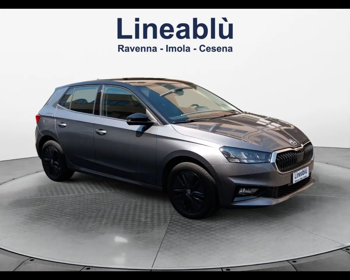 Skoda Fabia usata a Forlì-Cesena (7)