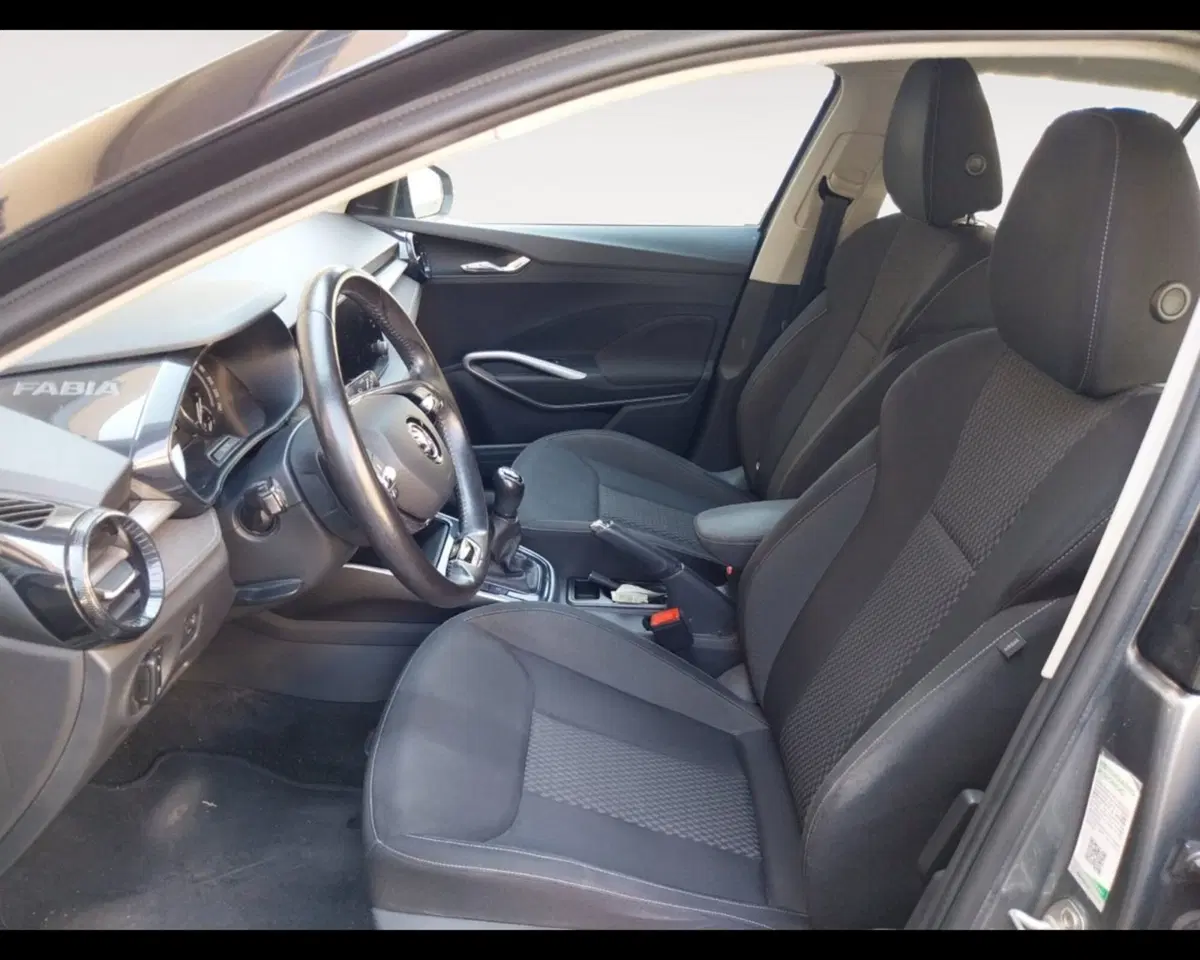 Skoda Fabia usata a Forlì-Cesena (9)