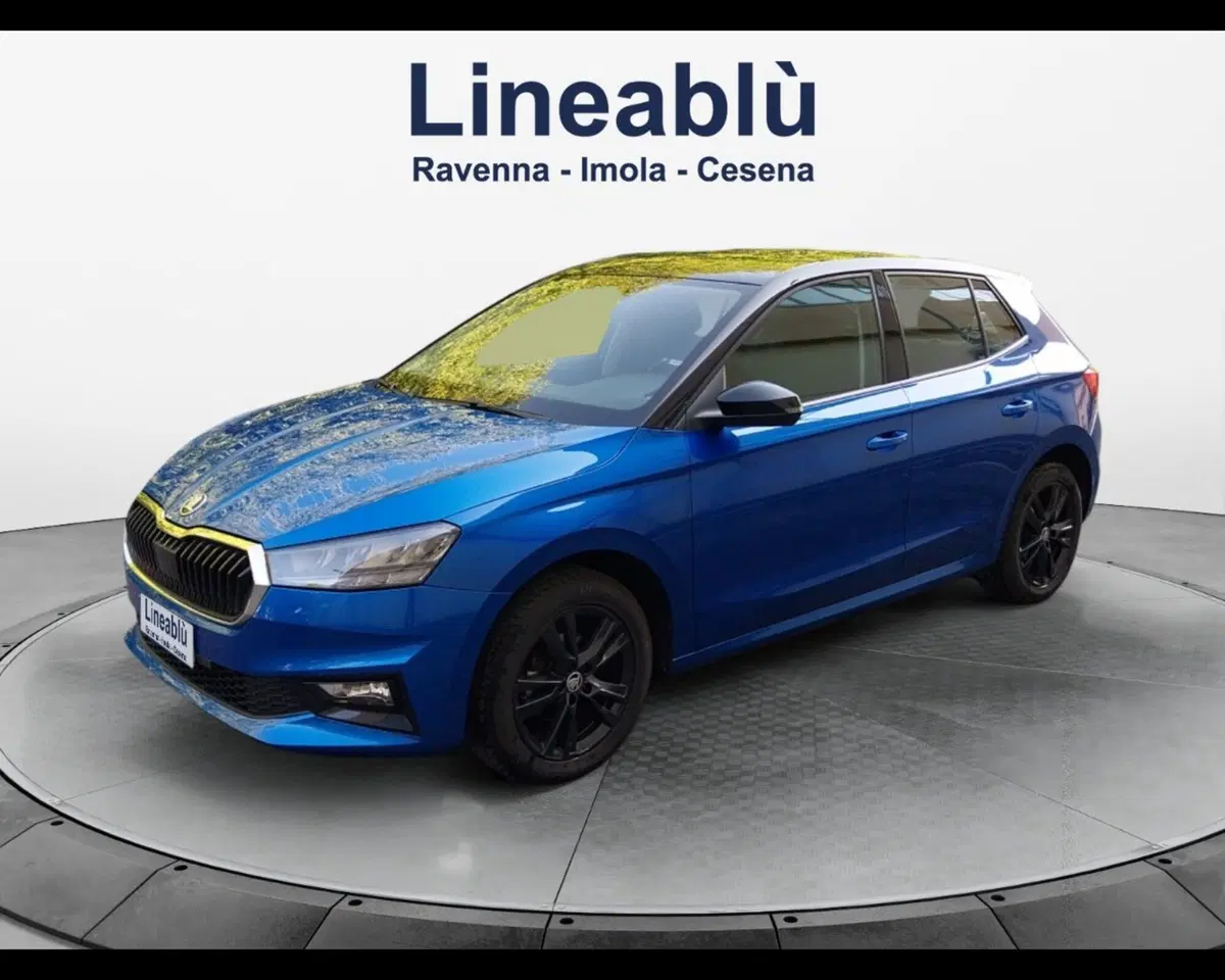 Skoda Fabia usata a Forlì-Cesena