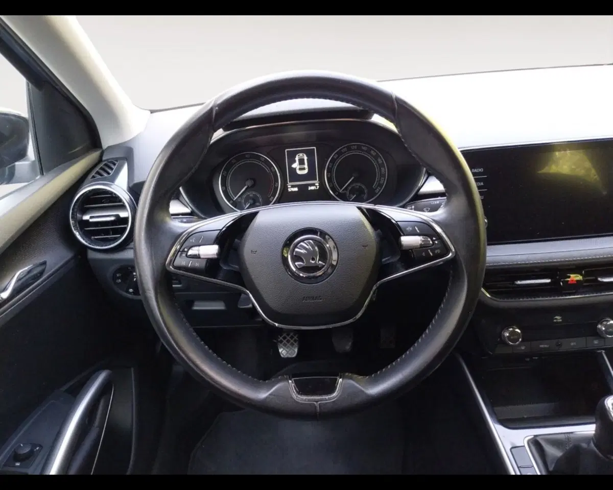 Skoda Fabia usata a Forlì-Cesena (12)