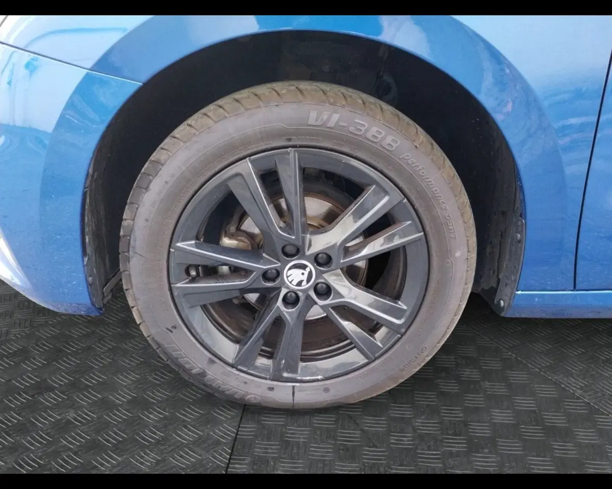 Skoda Fabia usata a Forlì-Cesena (14)