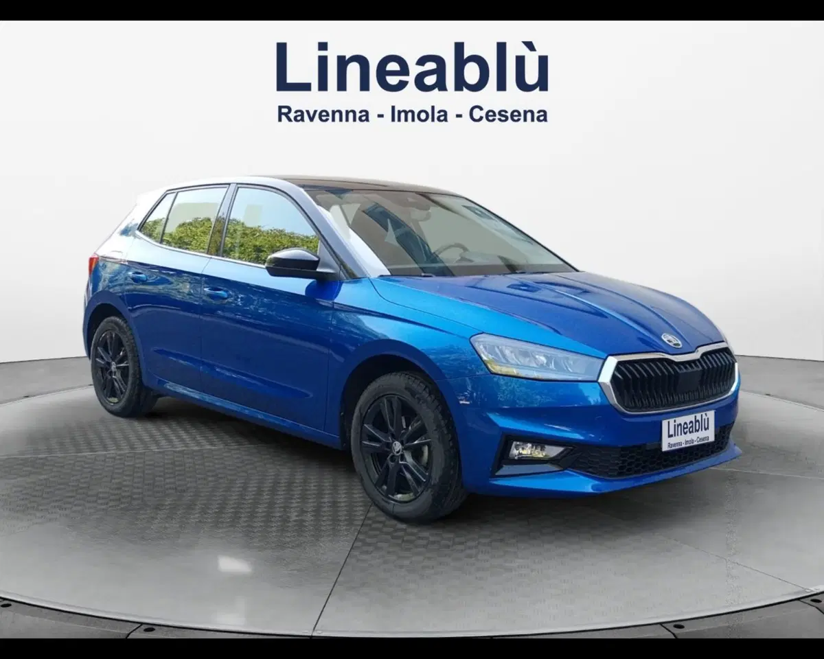 Skoda Fabia usata a Forlì-Cesena (7)
