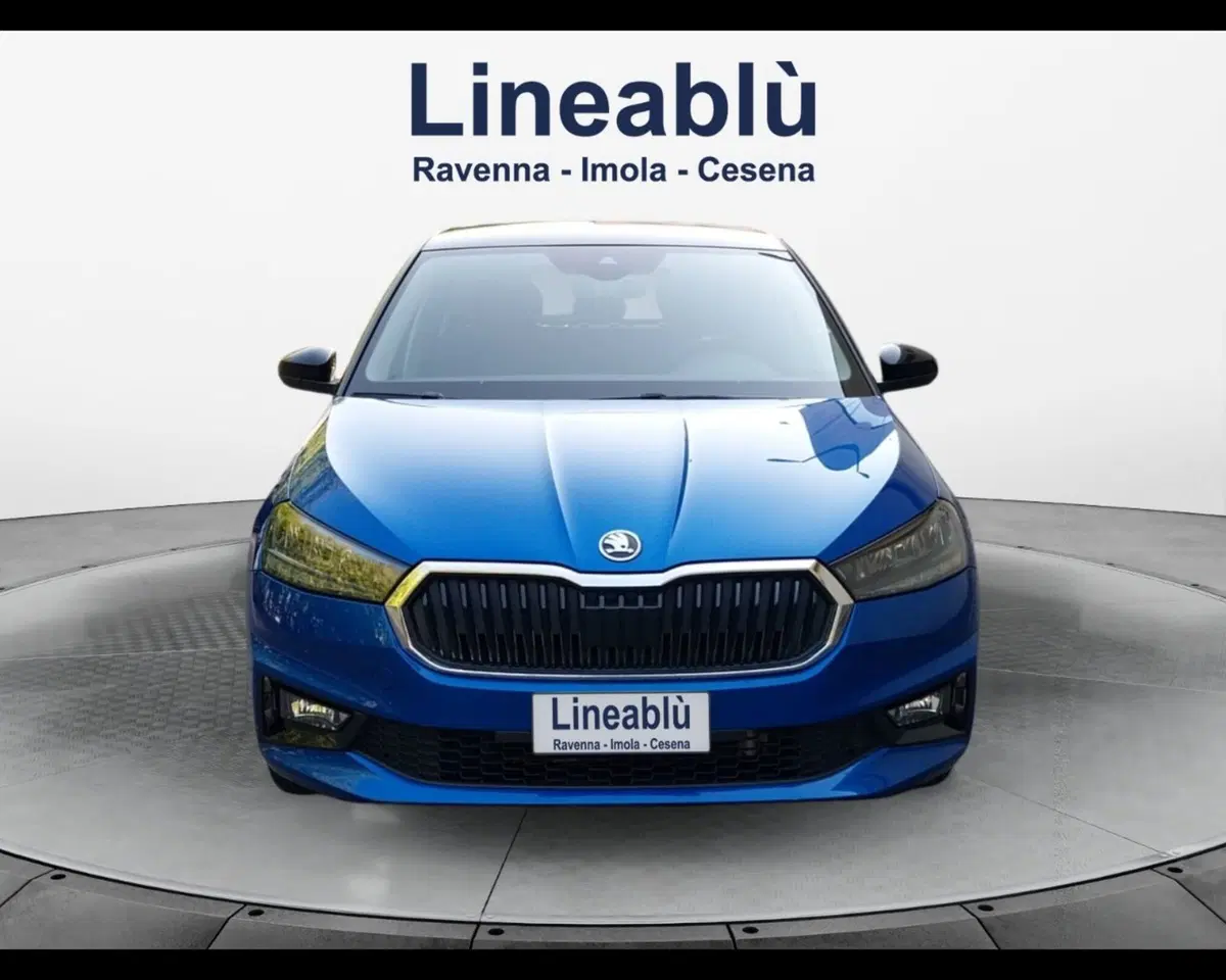 Skoda Fabia usata a Forlì-Cesena (8)